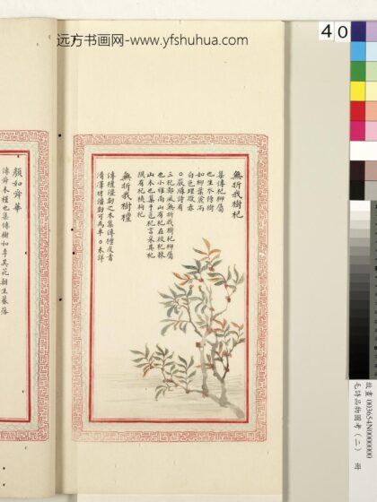 毛诗品物图考（二）册 无折我树杞无折我树檀 1.jpg