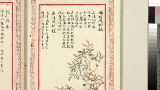 毛诗品物图考（二）册 无折我树杞无折我树檀 1.jpg