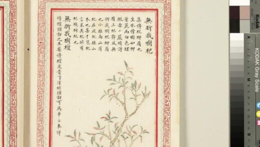 毛诗品物图考（二）册 无折我树杞无折我树檀 2.jpg