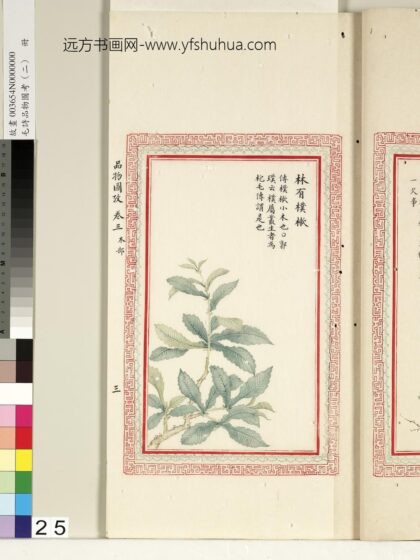 毛诗品物图考（二）册 林有朴樕 1.jpg