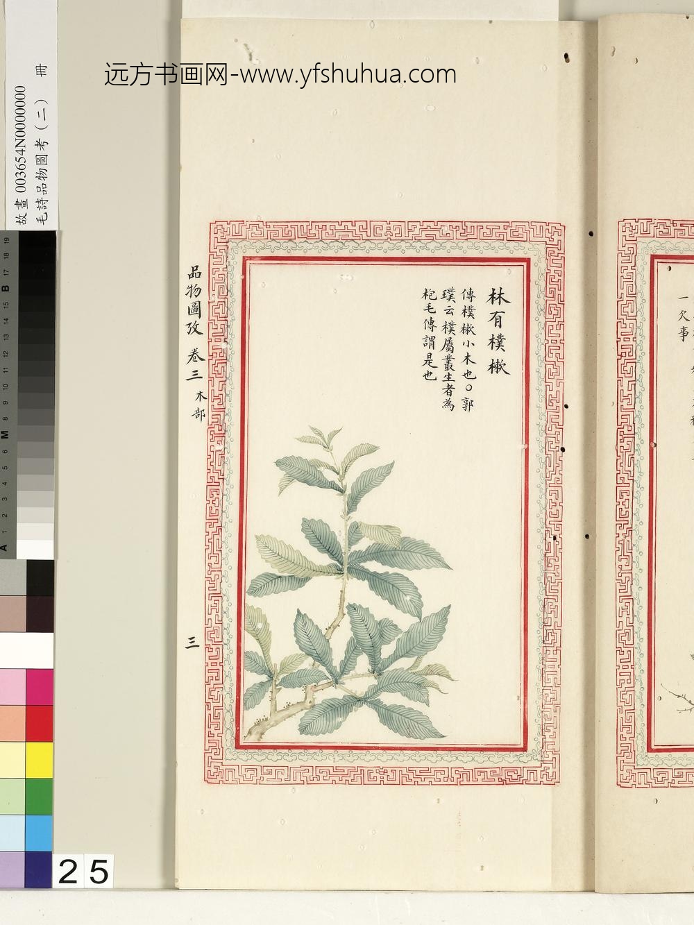 毛诗品物图考（二）册-林有朴樕-