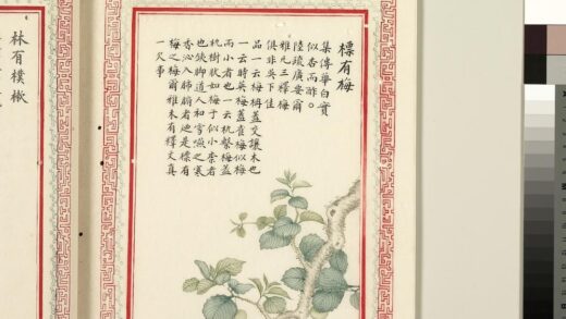 毛诗品物图考（二）册 标有梅 1.jpg