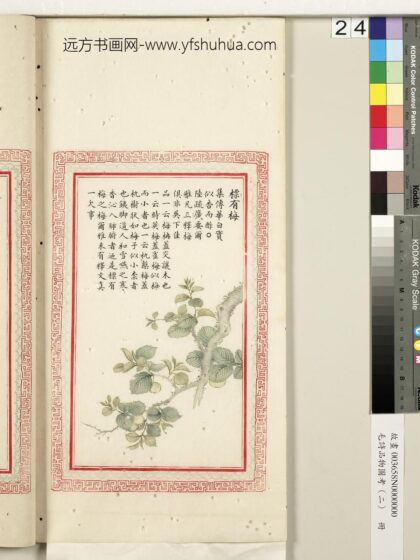 毛诗品物图考（二）册 标有梅 2.jpg