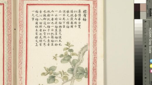 毛诗品物图考（二）册 标有梅 2.jpg