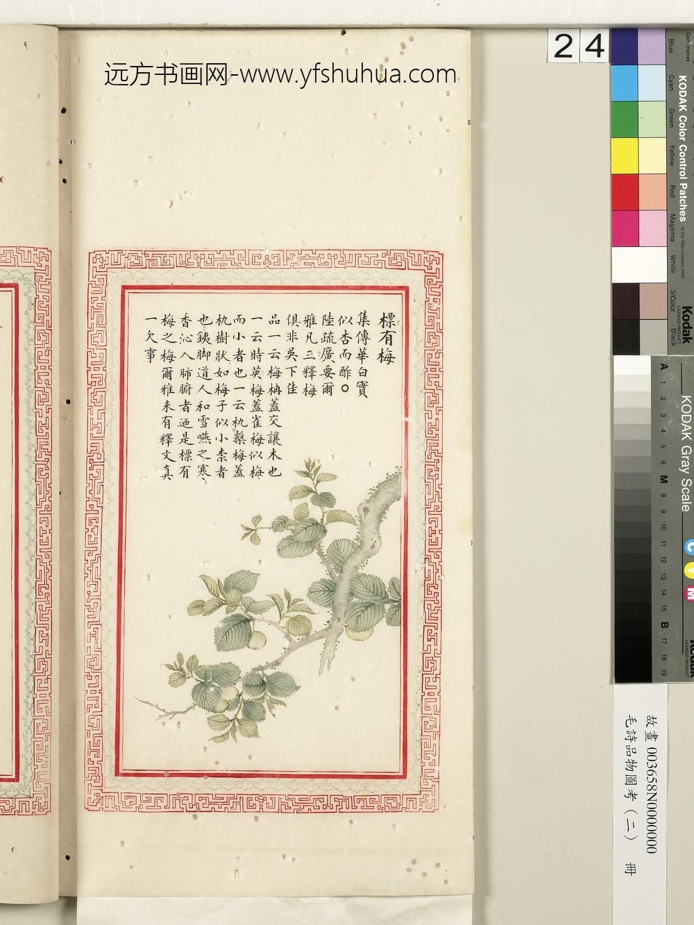毛诗品物图考（二）册-标有梅-