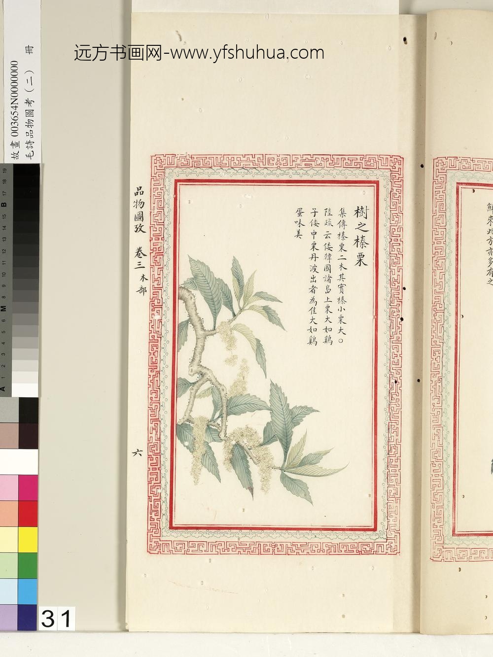 毛诗品物图考（二）册-树之榛栗-