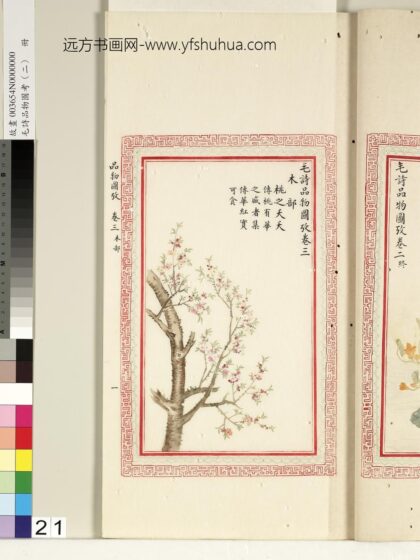 毛诗品物图考（二）册 桃之夭夭 1.jpg