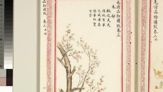 毛诗品物图考（二）册 桃之夭夭 1.jpg