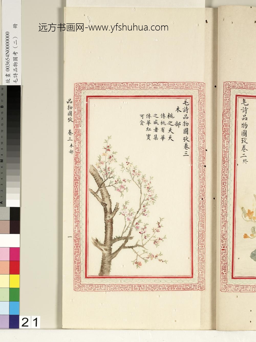 毛诗品物图考（二）册-桃之夭夭-