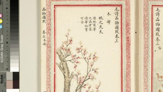 毛诗品物图考（二）册 桃之夭夭 2.jpg