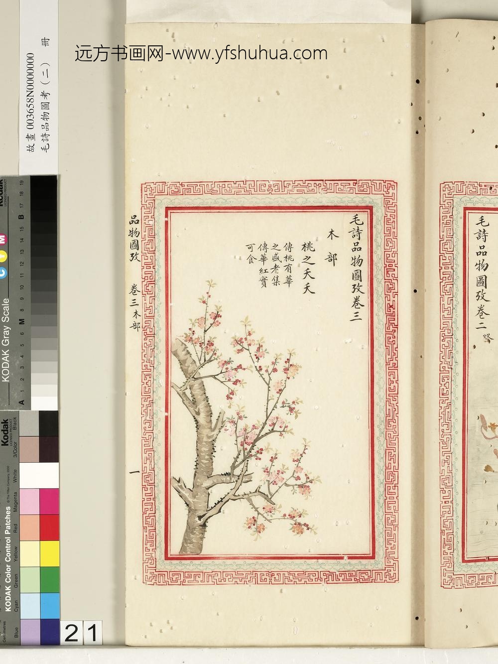 毛诗品物图考（二）册-桃之夭夭-