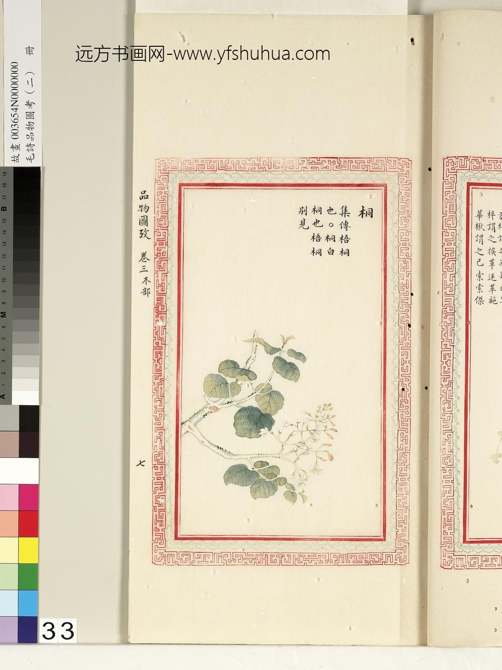 毛诗品物图考（二）册-桐-