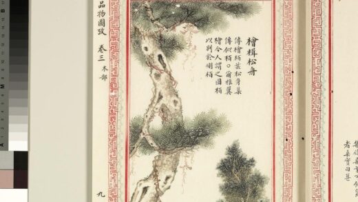 毛诗品物图考（二）册 桧楫松舟 1.jpg