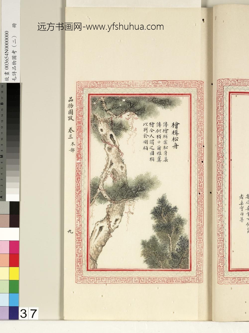 毛诗品物图考（二）册-桧楫松舟-