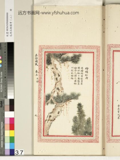 毛诗品物图考（二）册 桧楫松舟 2.jpg