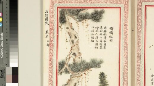毛诗品物图考（二）册 桧楫松舟 2.jpg