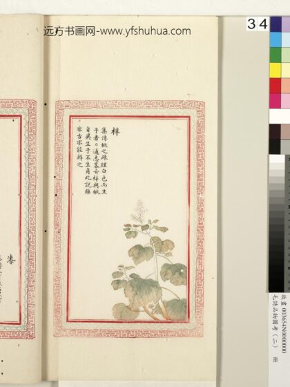 毛诗品物图考（二）册 梓 1.jpg