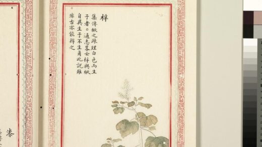 毛诗品物图考（二）册 梓 1.jpg