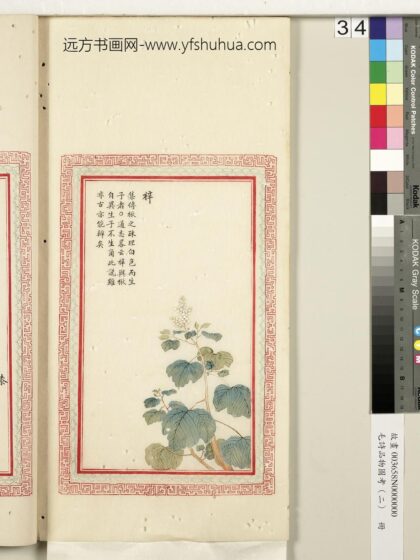 毛诗品物图考（二）册 梓 2.jpg