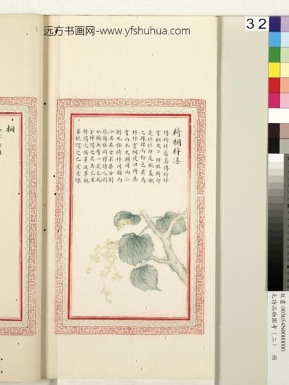 毛诗品物图考（二）册 椅桐梓漆 1.jpg