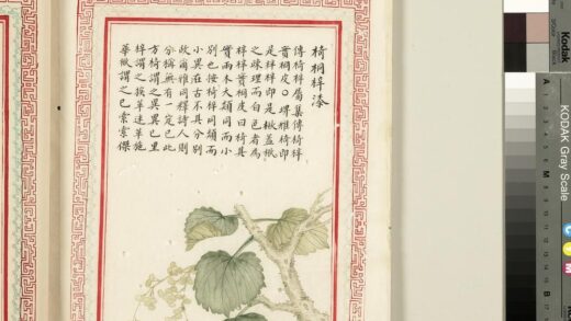 毛诗品物图考（二）册 椅桐梓漆 2.jpg