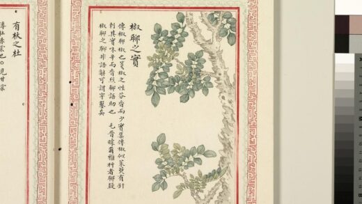 毛诗品物图考（二）册 椒聊之实 1.jpg