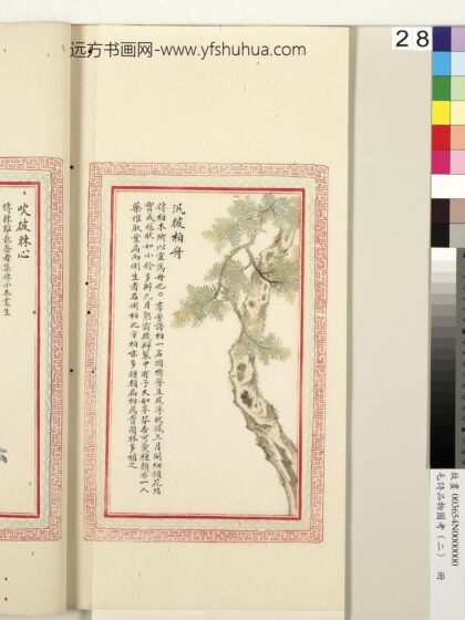 毛诗品物图考（二）册 泛彼柏舟 1.jpg