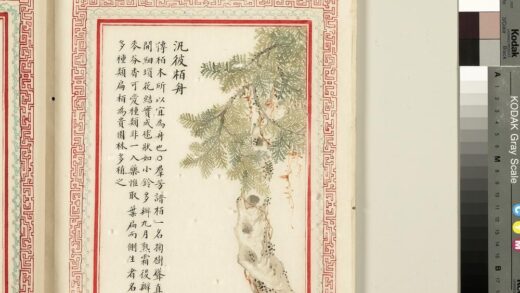 毛诗品物图考（二）册 泛彼柏舟 2.jpg