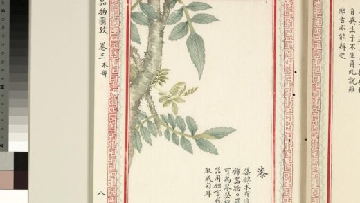 毛诗品物图考（二）册 漆 1.jpg