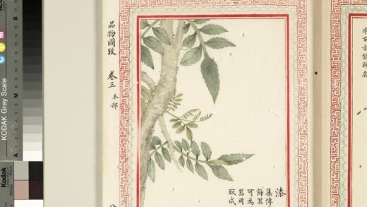 毛诗品物图考（二）册 漆 2.jpg