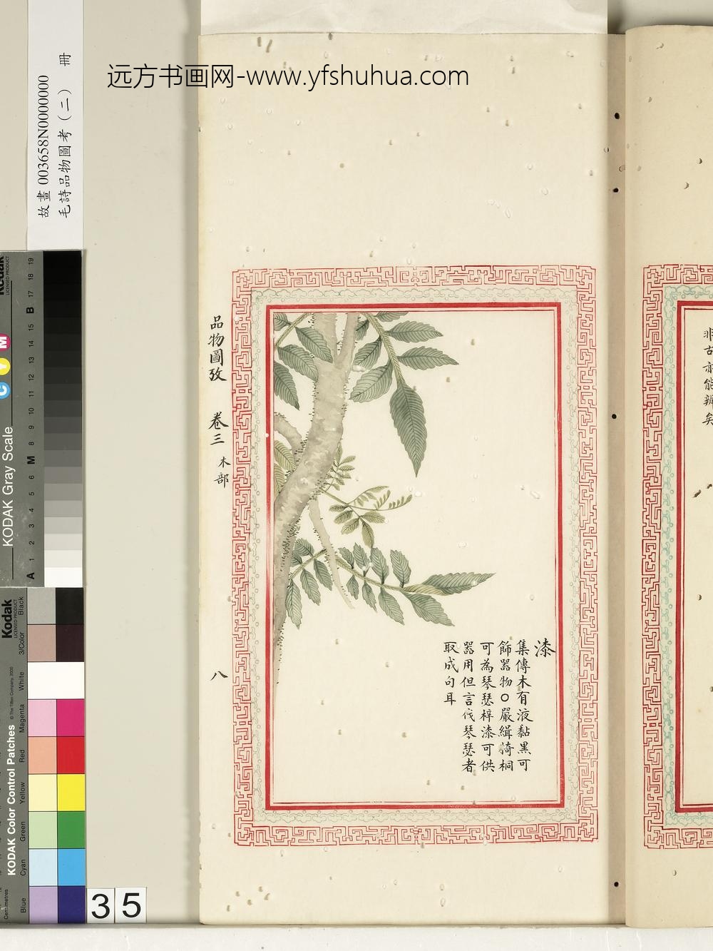 毛诗品物图考（二）册-漆-