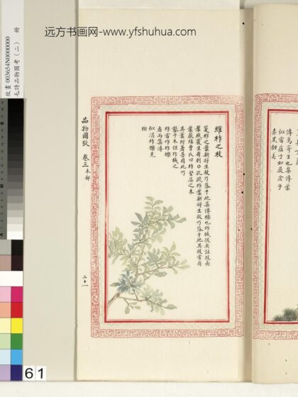 毛诗品物图考（二）册 维柞之枝柞棫拔矣榛楛济济其灌其栵 11.jpg