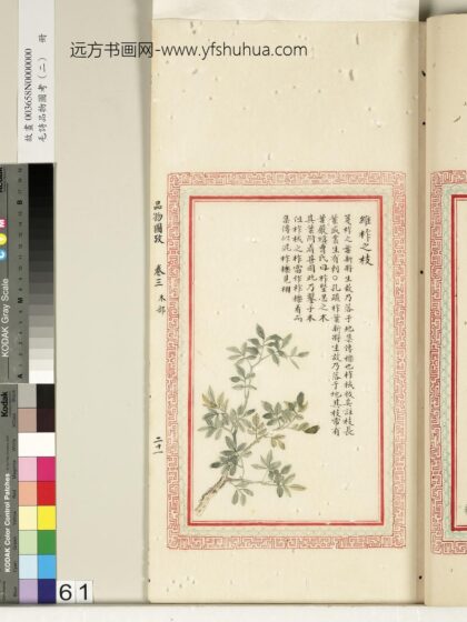 毛诗品物图考（二）册 维柞之枝柞棫拔矣榛楛济济其灌其栵 21.jpg