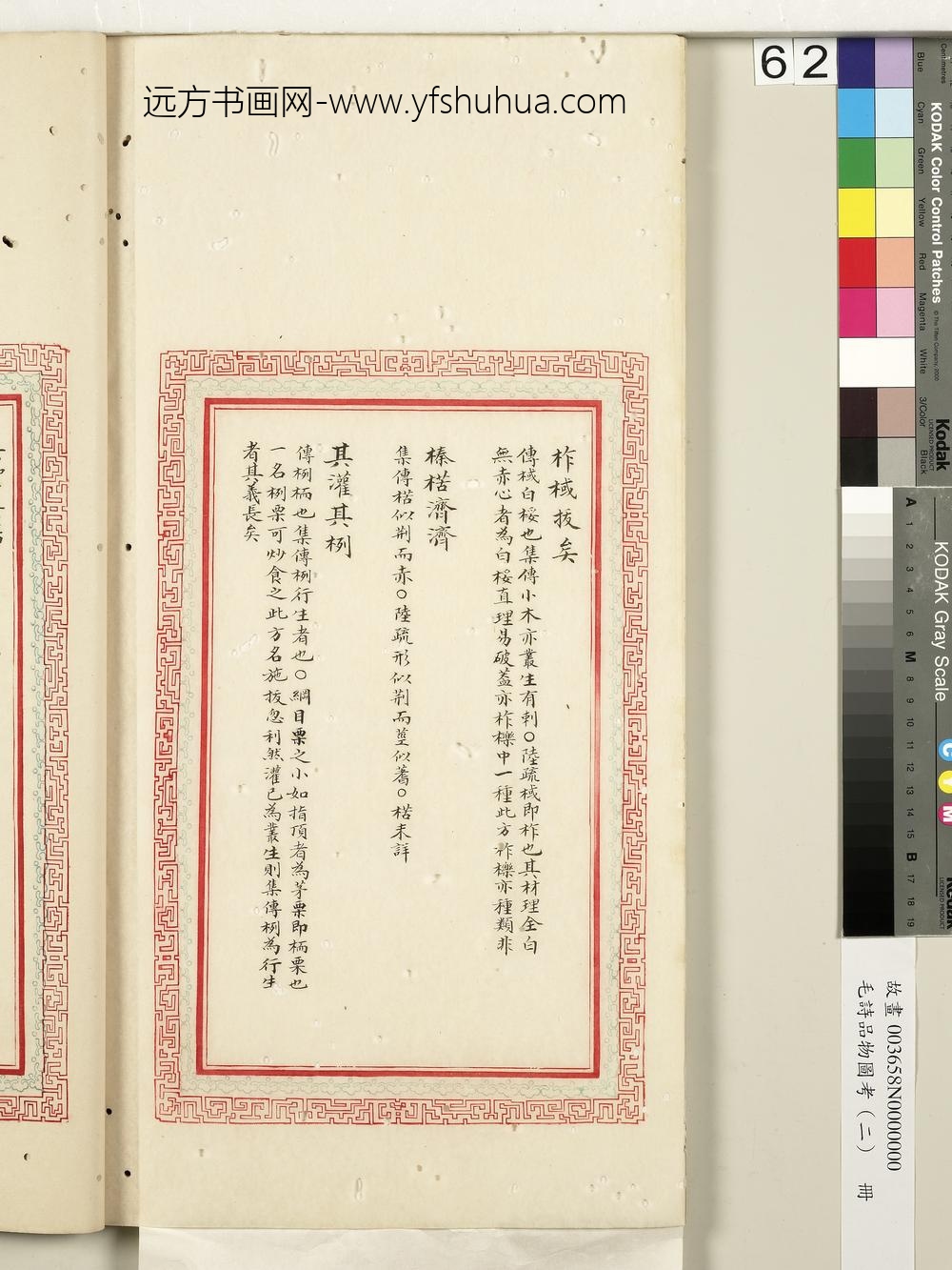 毛诗品物图考（二）册-维柞之枝柞棫拔矣榛楛济济其灌其栵-()