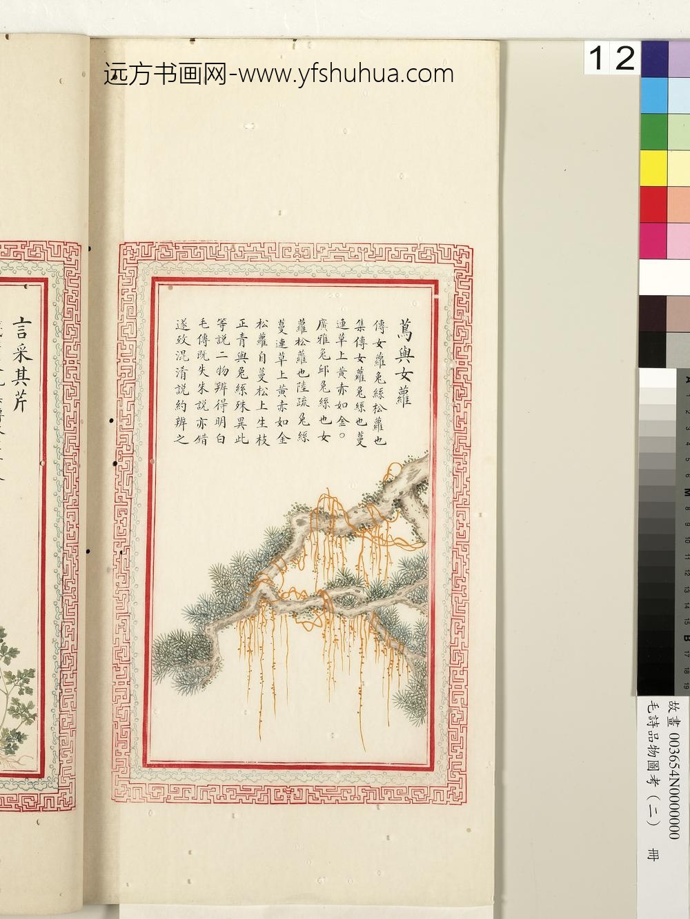 毛诗品物图考（二）册-茑与女萝-