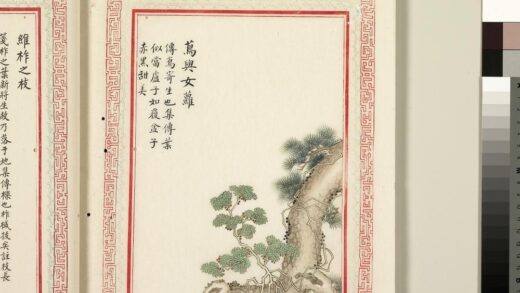 毛诗品物图考（二）册 茑与女萝 2.jpg