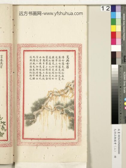 毛诗品物图考（二）册 茑与女萝 3.jpg