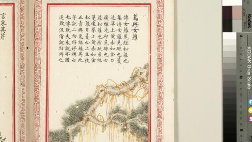 毛诗品物图考（二）册 茑与女萝 3.jpg