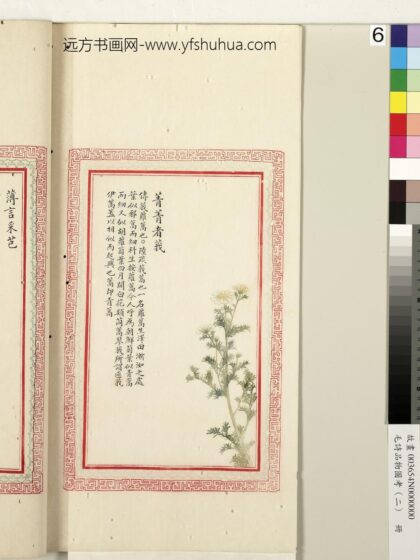 毛诗品物图考（二）册 菁菁者莪 1.jpg