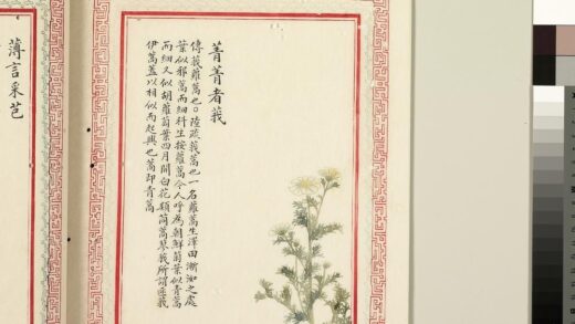 毛诗品物图考（二）册 菁菁者莪 1.jpg