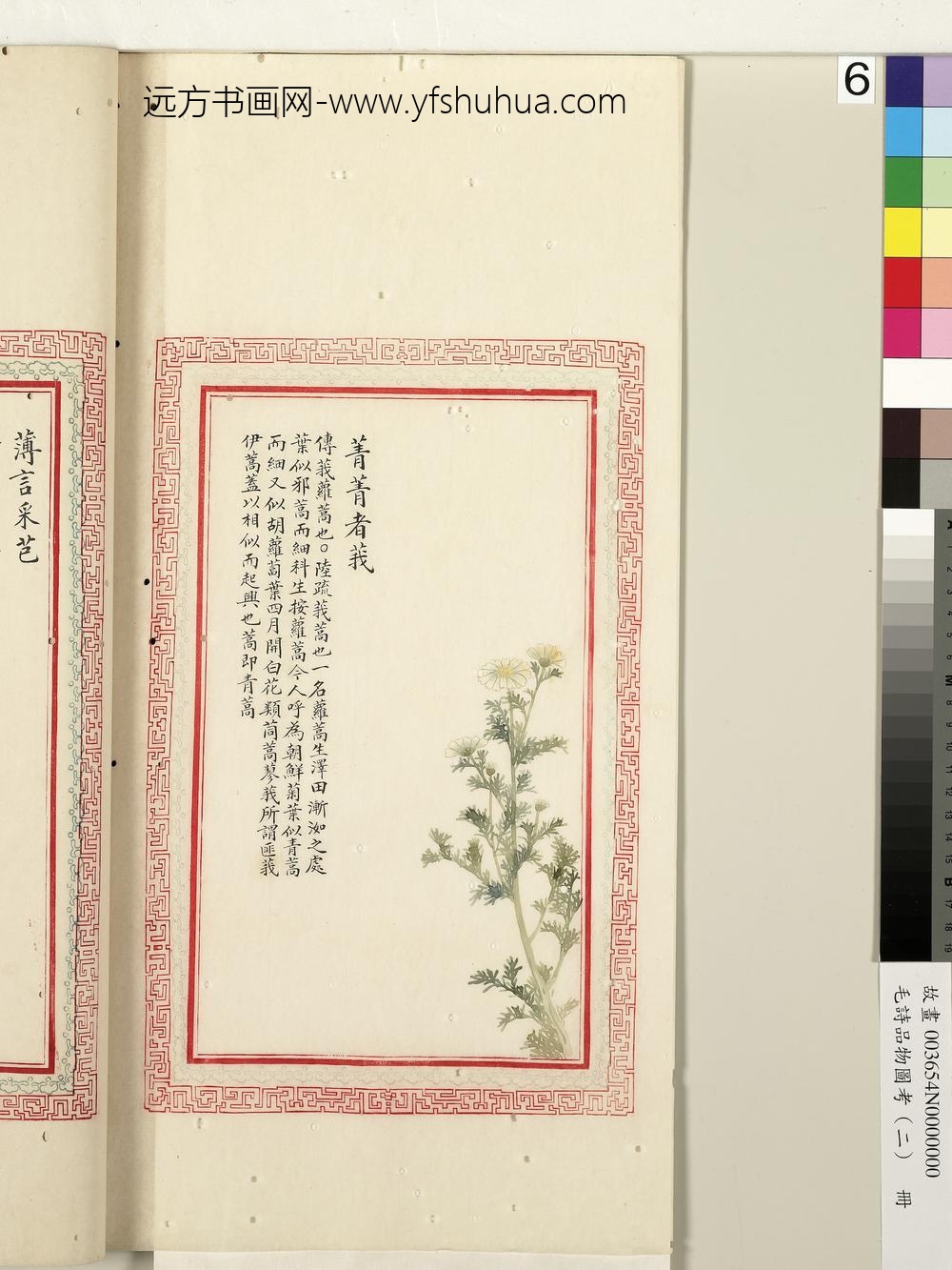 毛诗品物图考（二）册-菁菁者莪-