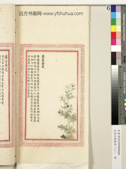 毛诗品物图考（二）册 菁菁者莪 2.jpg