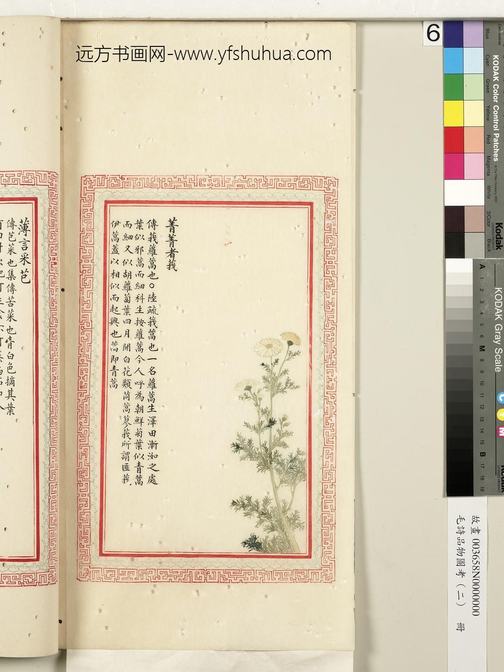 毛诗品物图考（二）册-菁菁者莪-