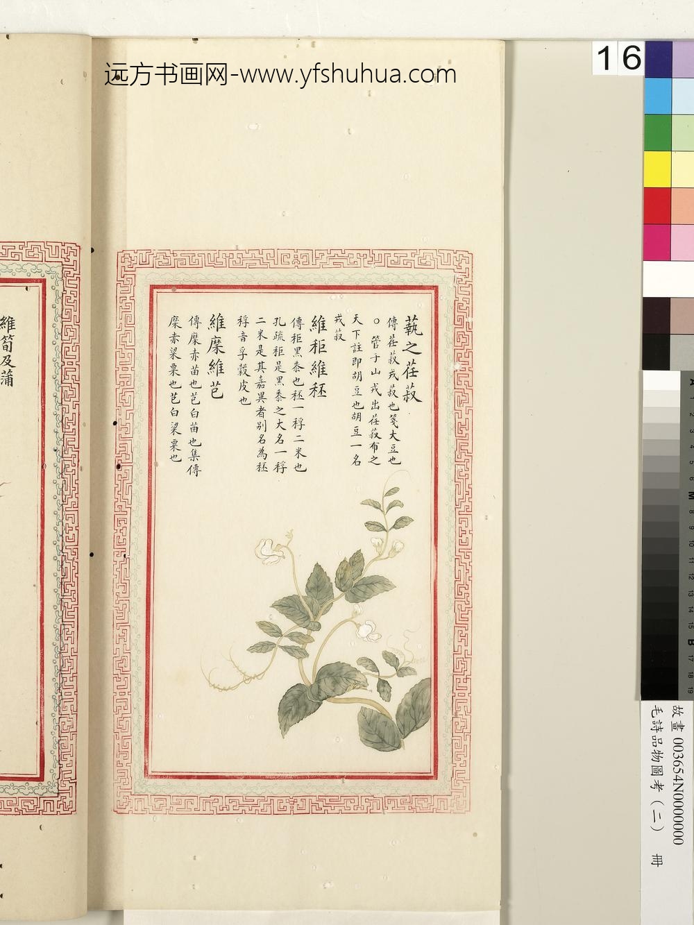 毛诗品物图考（二）册-蓺之荏菽维秬维秠维穈维芑-