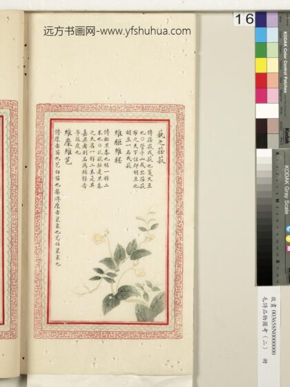 毛诗品物图考（二）册 蓺之荏菽维秬维秠维穈维芑 2.jpg