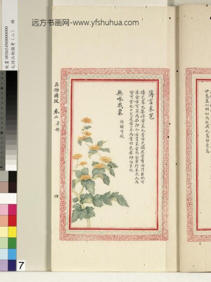 毛诗品物图考（二）册 薄言采芑无啄我粟 1.jpg