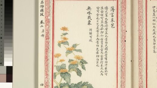 毛诗品物图考（二）册 薄言采芑无啄我粟 1.jpg