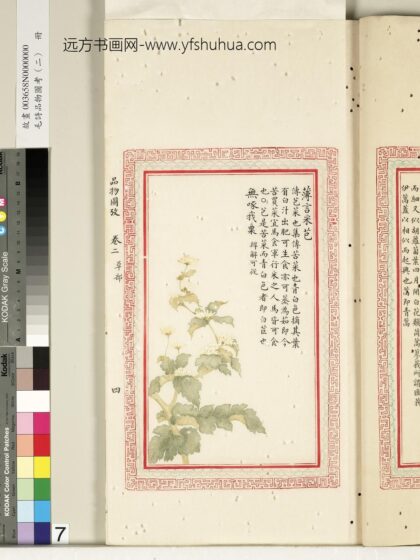 毛诗品物图考（二）册 薄言采芑无啄我粟 2.jpg