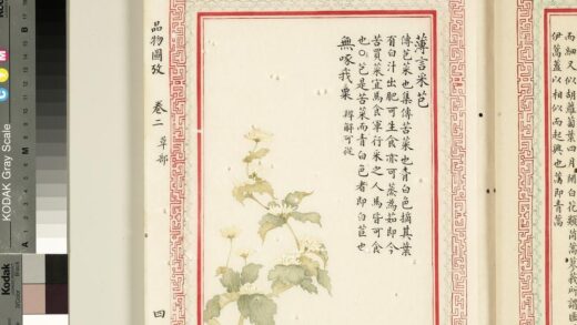 毛诗品物图考（二）册 薄言采芑无啄我粟 2.jpg