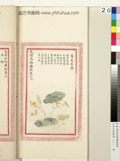 毛诗品物图考（二）册 薄采其茆 1.jpg